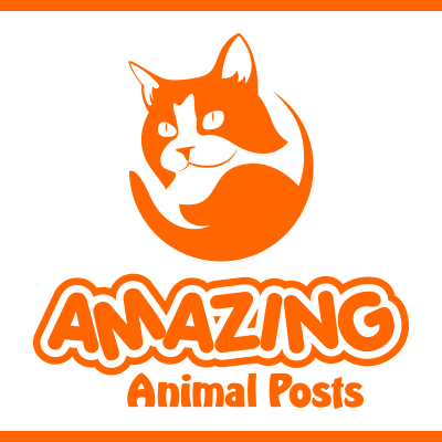 Amazing Animal Posts